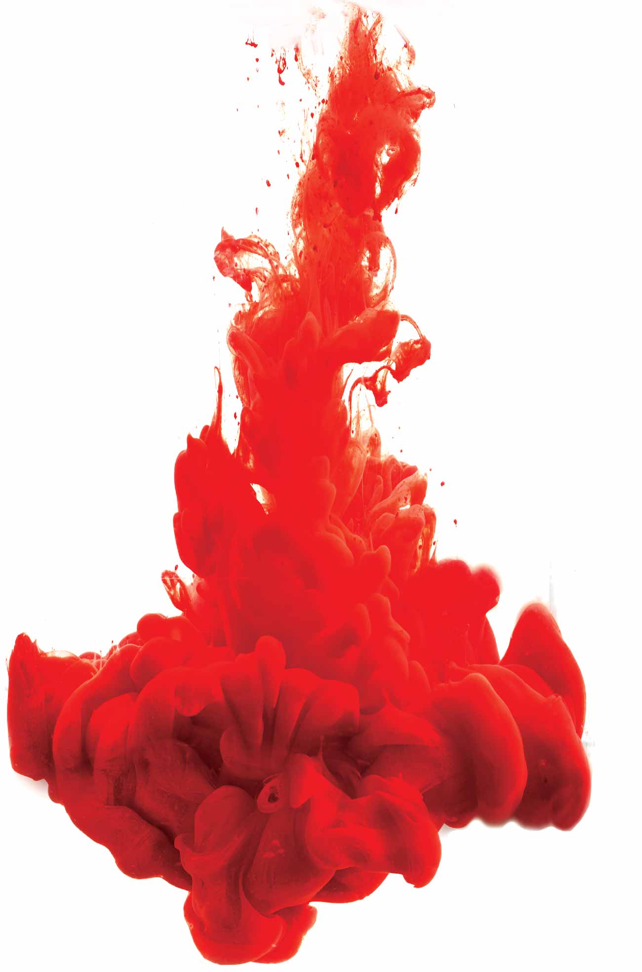 Gin Alchemix Pozione